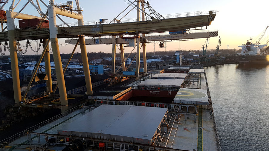 Chartering and stevedoring